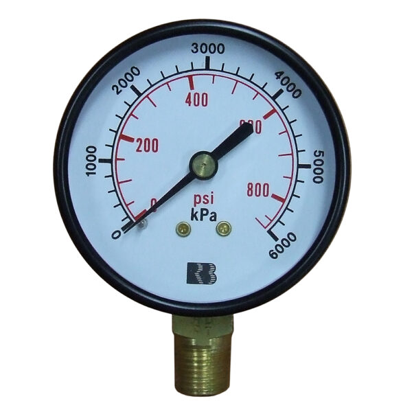 63 MMX6000KPA/870PSI LM 1/4BSPT