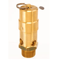 SW10BP/1089KPA ASME S/V 1BSPT
